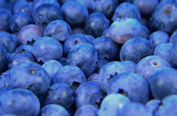 food memory blueberries