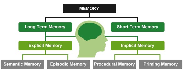 Short Term Memory & Long Term Memory