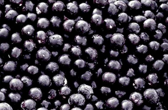 health benefits of fruits acai berry