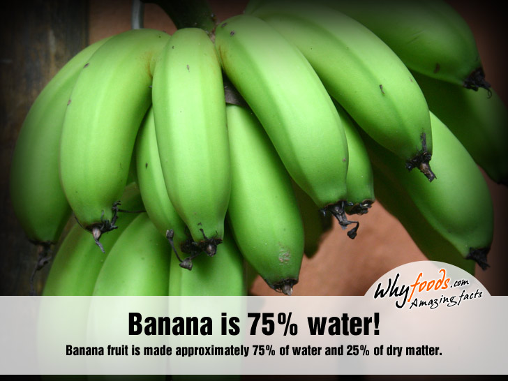 Amazing Banana Facts