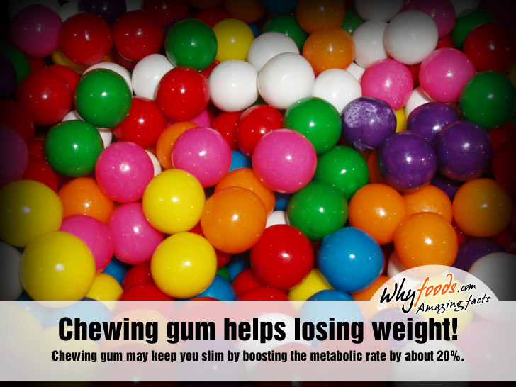 Amazing Gum Facts