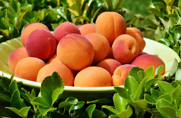 health benefits of fruits apricots