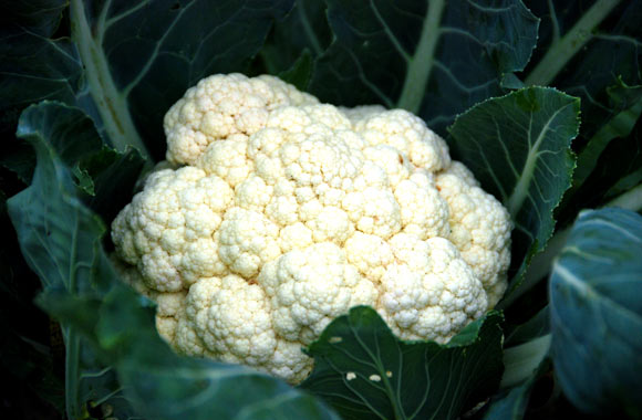 health benefits of vegetables cauliflower