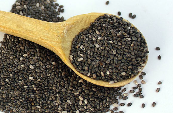 health benefits of seeds chia seed