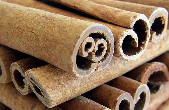 health benefits of food cinnamon