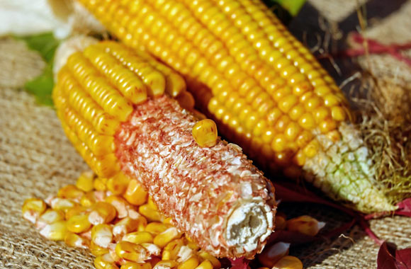 health benefits of grains corn
