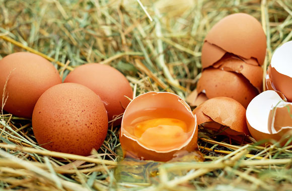 health benefits of food egg