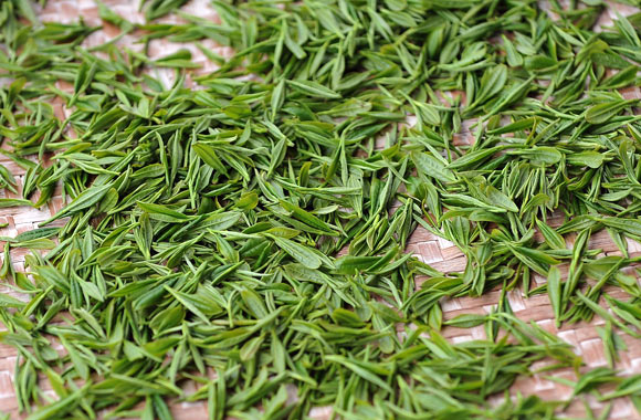 health benefits of herbs green tea