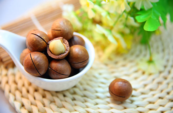 health benefits of nuts macadamia nuts