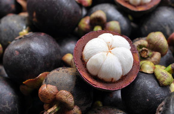 health benefits of fruits mangosteen