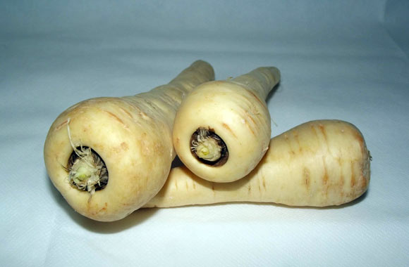 health benefits of roots parsnip