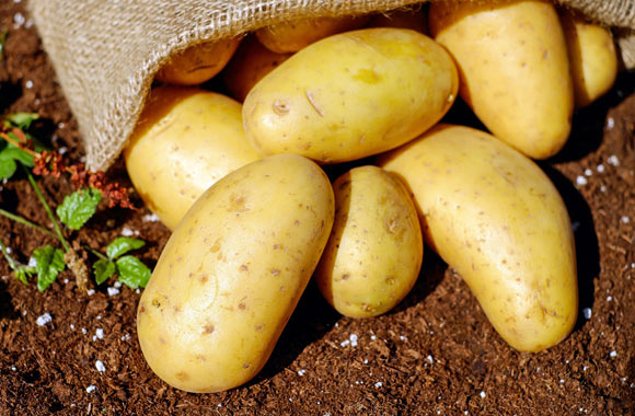 health benefits of vegetables potatoes