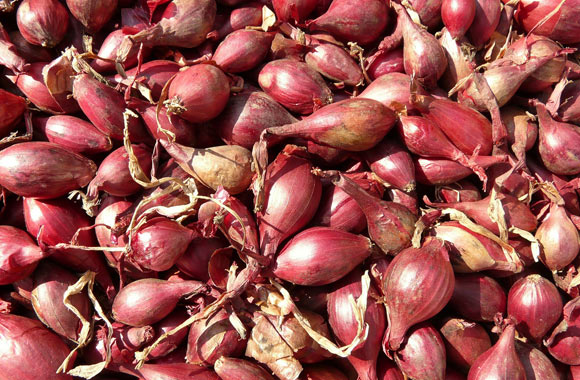 health benefits of vegetables shallots