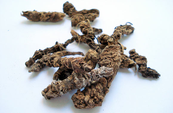 health benefits of roots valerian