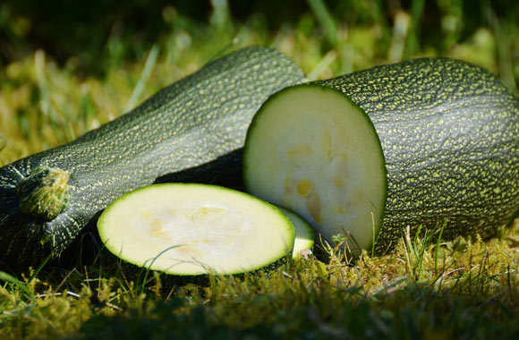 health benefits of vegetables zucchini